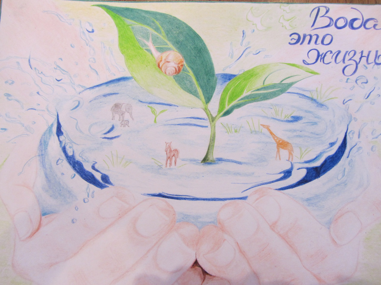 Бережное рождение. Рисунок на тему вода. Рисование на тему вода. Рисование на тему вода - источник жизни. День воды рисунки на конкурс.