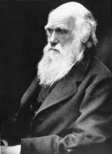 Ч. Дарвин Ч. Дарвин